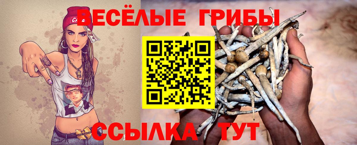 наркошоп  Галлюциногенные грибы Magic Shrooms  Вход с VPN  Павлово 